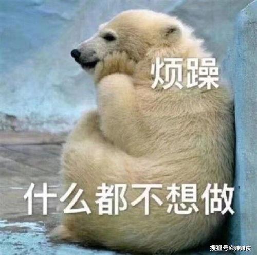 吃瓜群众图片搞笑图片