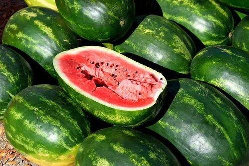 娱乐吃瓜视频素材