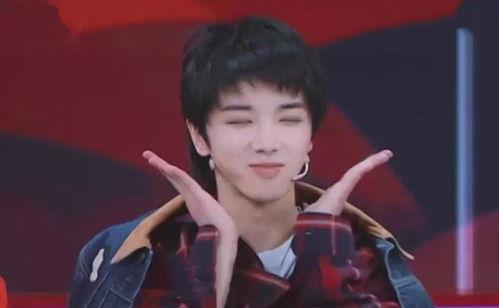 娱乐圈吃瓜华晨宇是谁