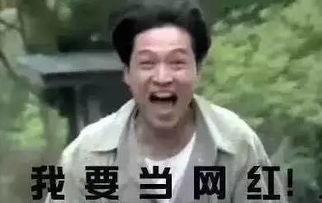 娱乐吃瓜酱谈世面,娱乐吃瓜酱带你领略世间百态