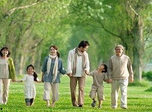 约会散步娱乐吃瓜酱,品味美食，共享悠闲时光