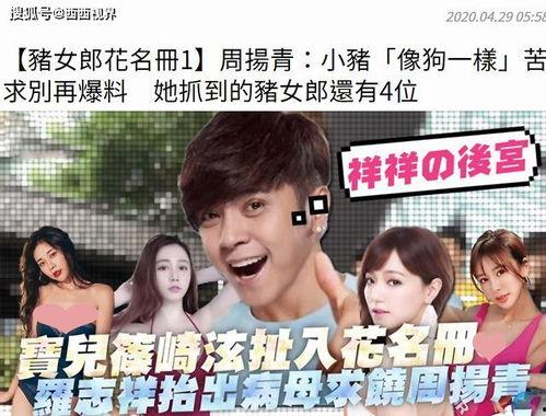 吃瓜吃到正主面前娱乐圈